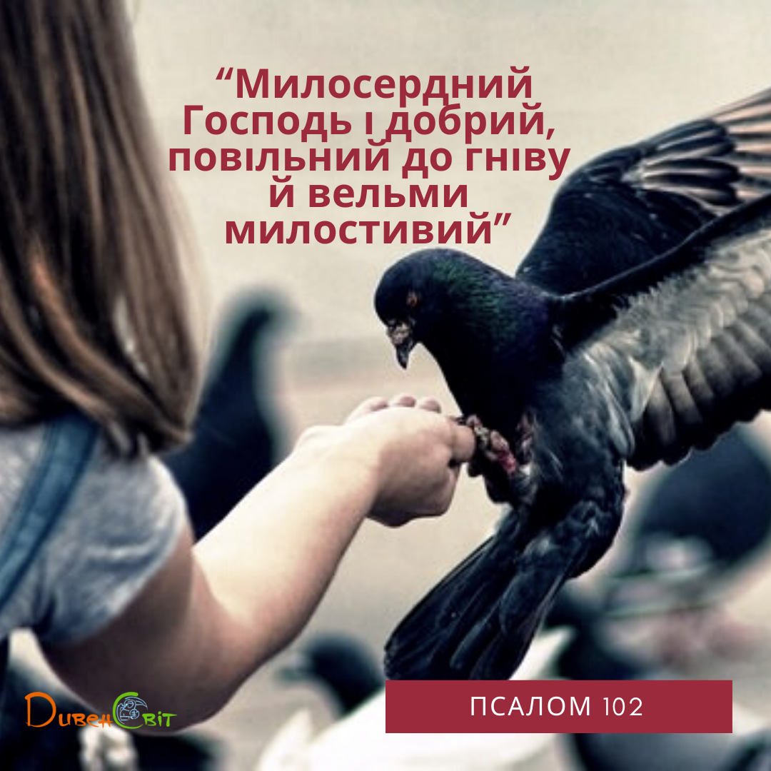 Святе Письмо з розважанням на 6 травня