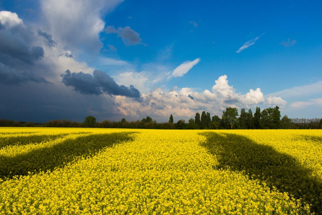Християнське коріння патріотизму