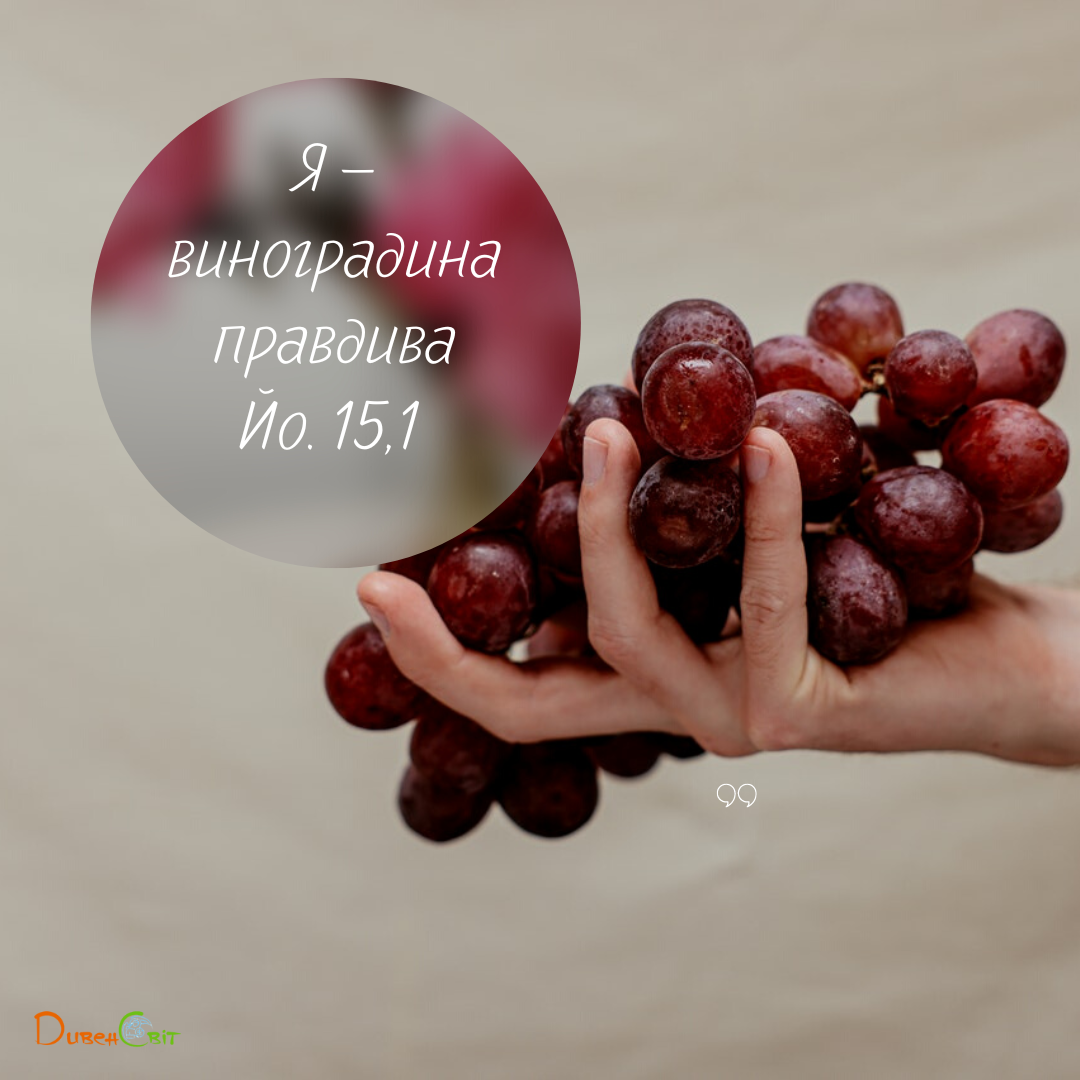 Святе Письмо з розважаннями на 6 червня