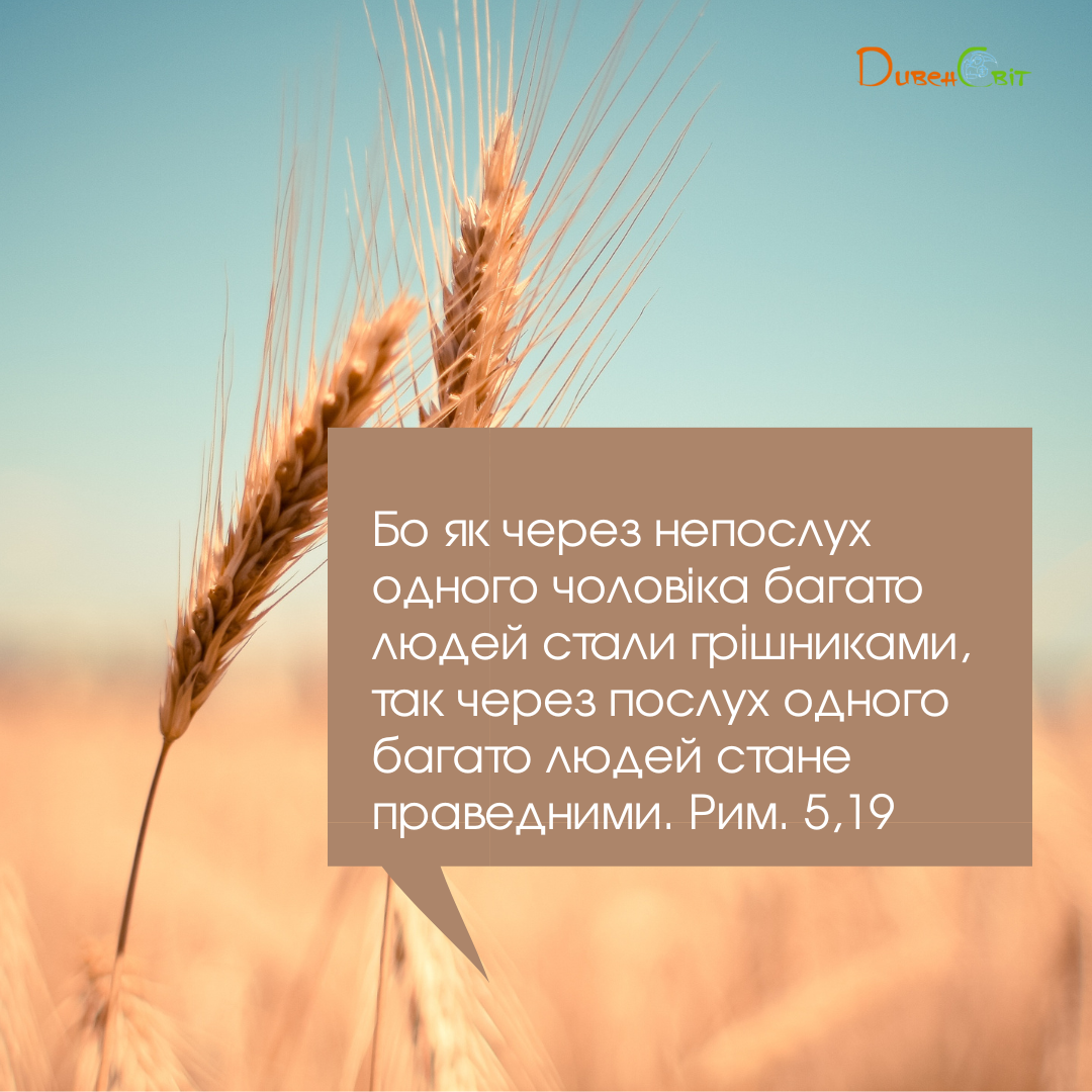 Святе Письмо з розважаннями на 24 червня