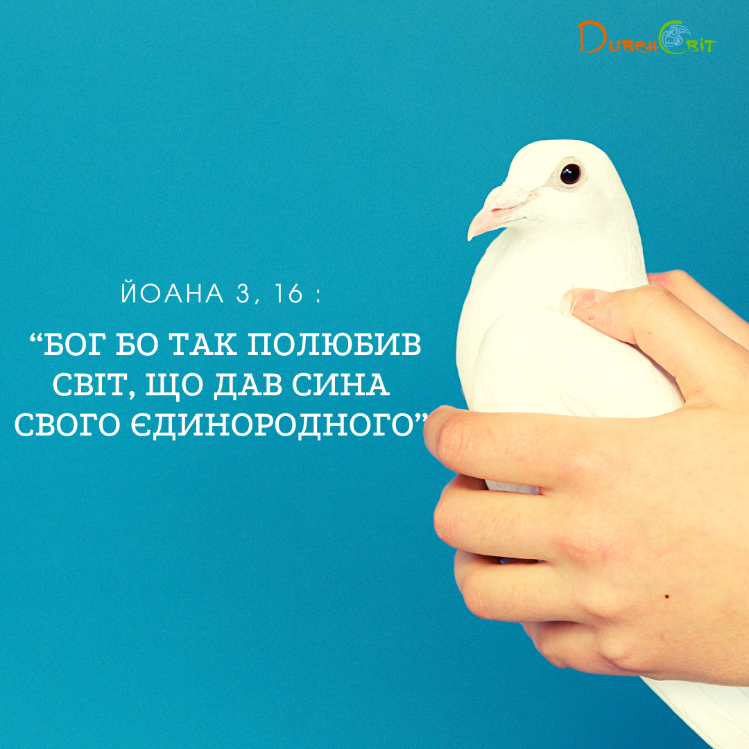 Святе Письмо з розважанням на 1 липня