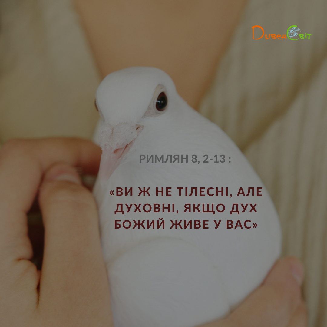 Святе Письмо з розважанням на 13 липня