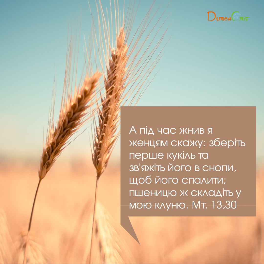 Святе Письмо з розважаннями на 19 липня