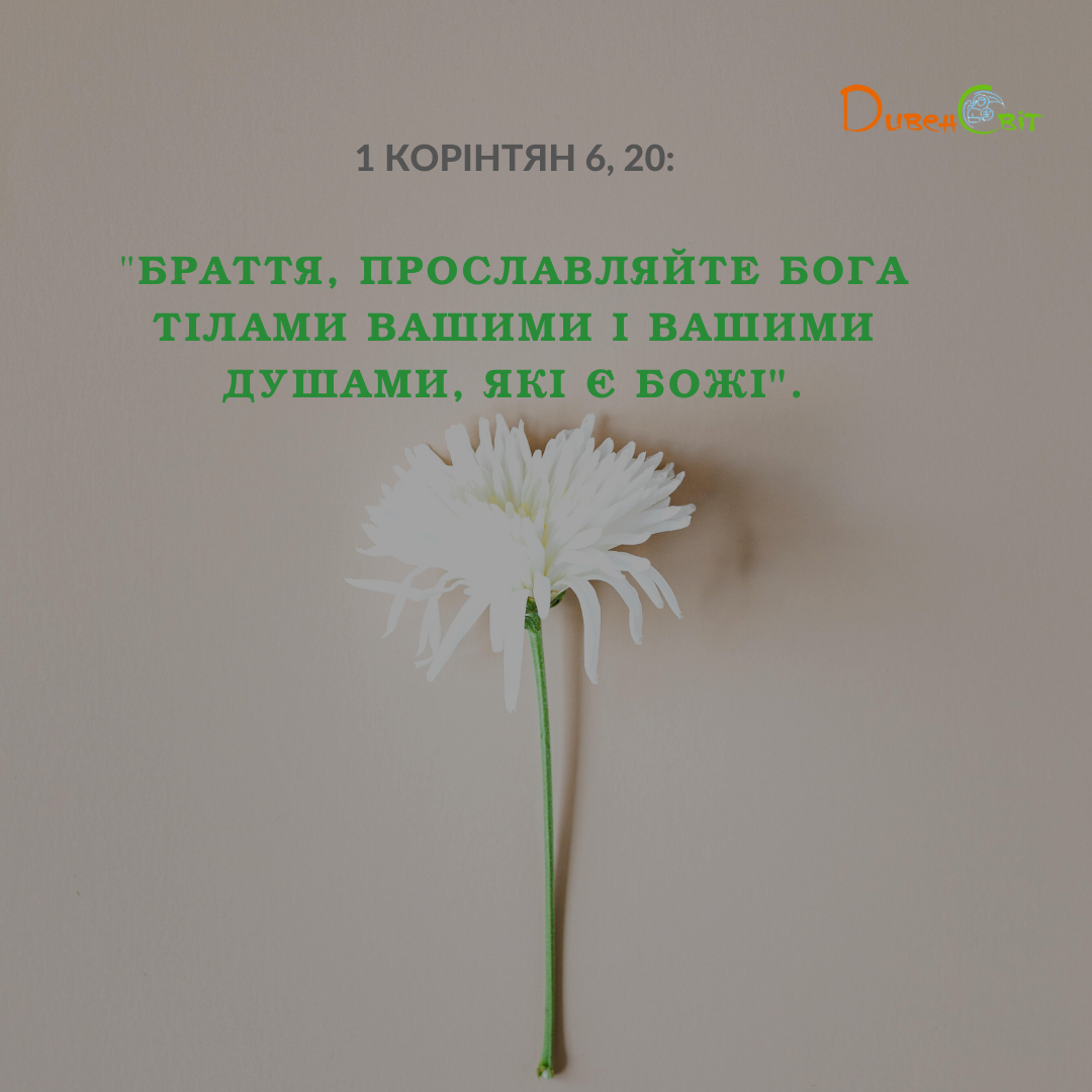 Святе Письмо з розважанням на 26 липня