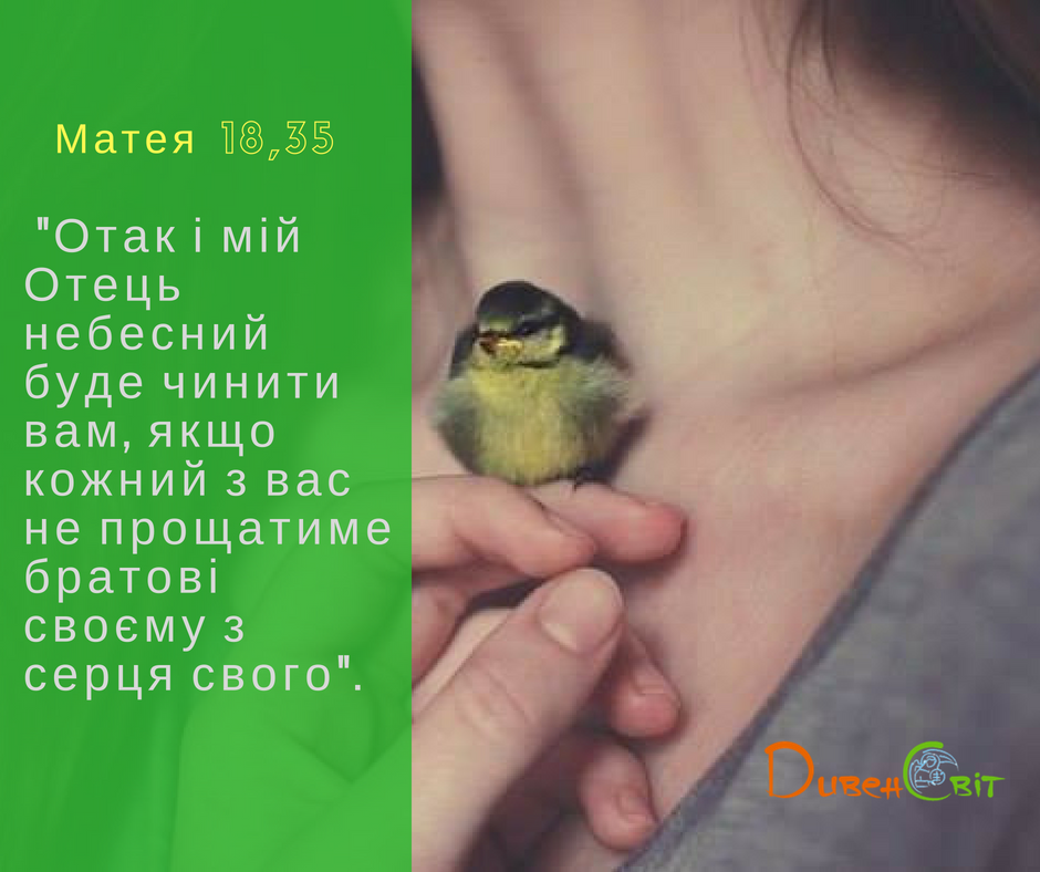 Святе Письмо з розважанням на 28 серпня