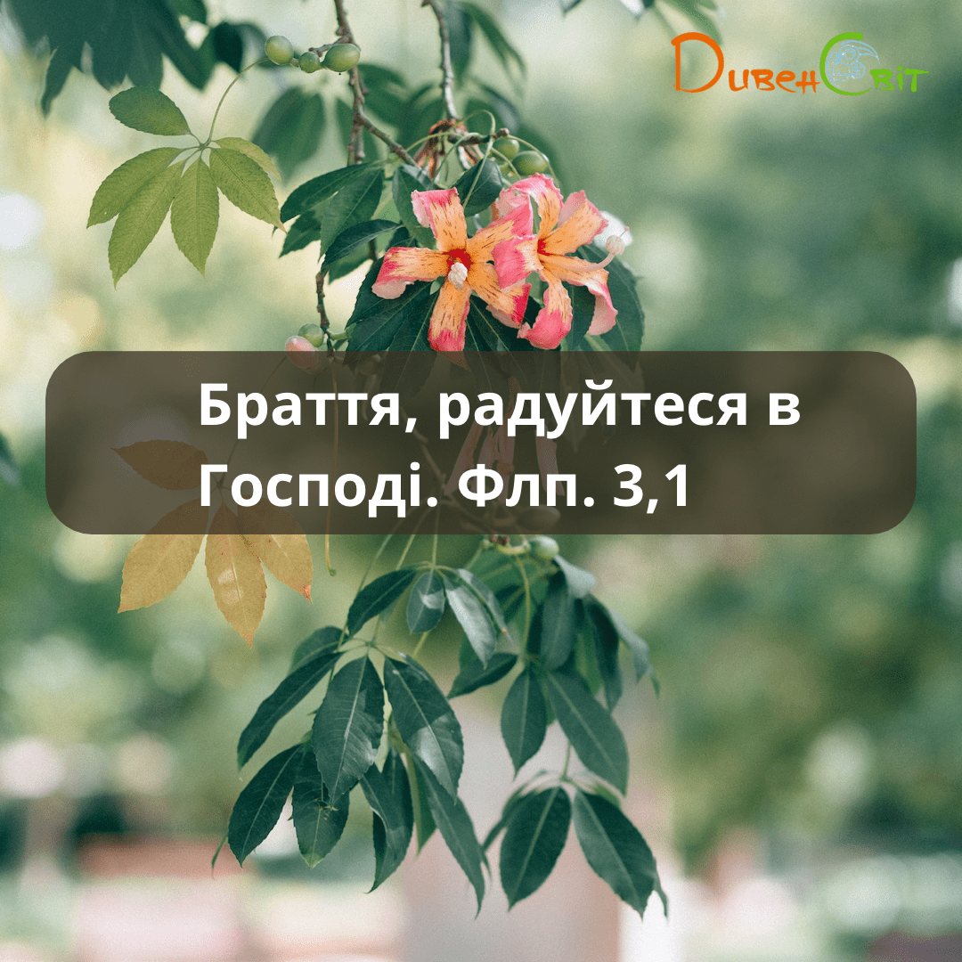 Святе Письмо з розважаннями на 27 жовтня