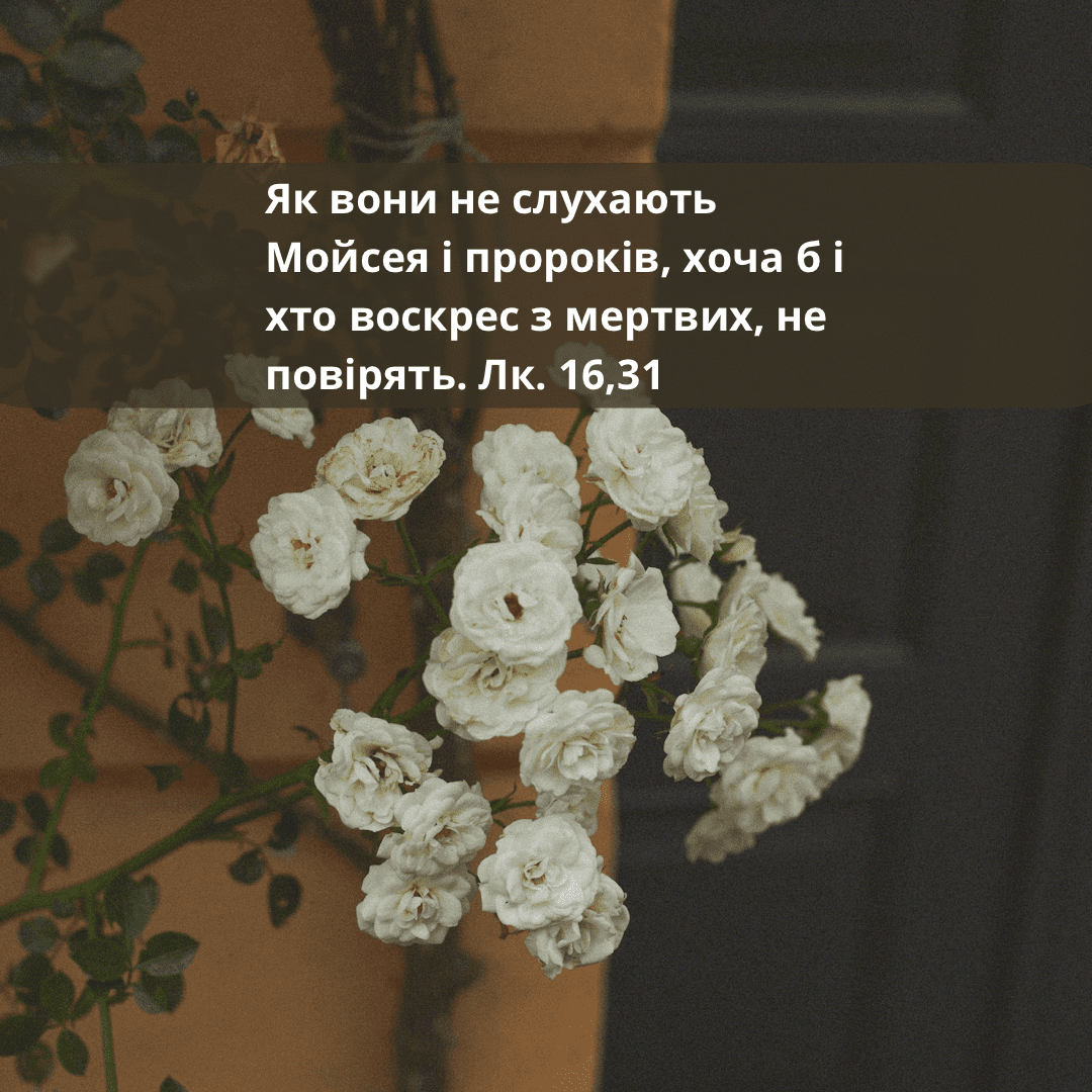 Святе Письмо з розважаннями на 13 листопада