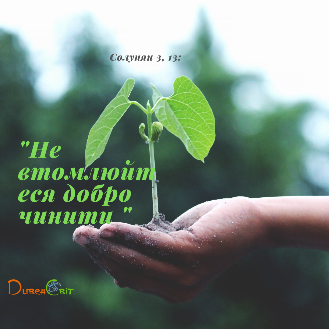 Святе Письмо з розважанням на 2 грудня