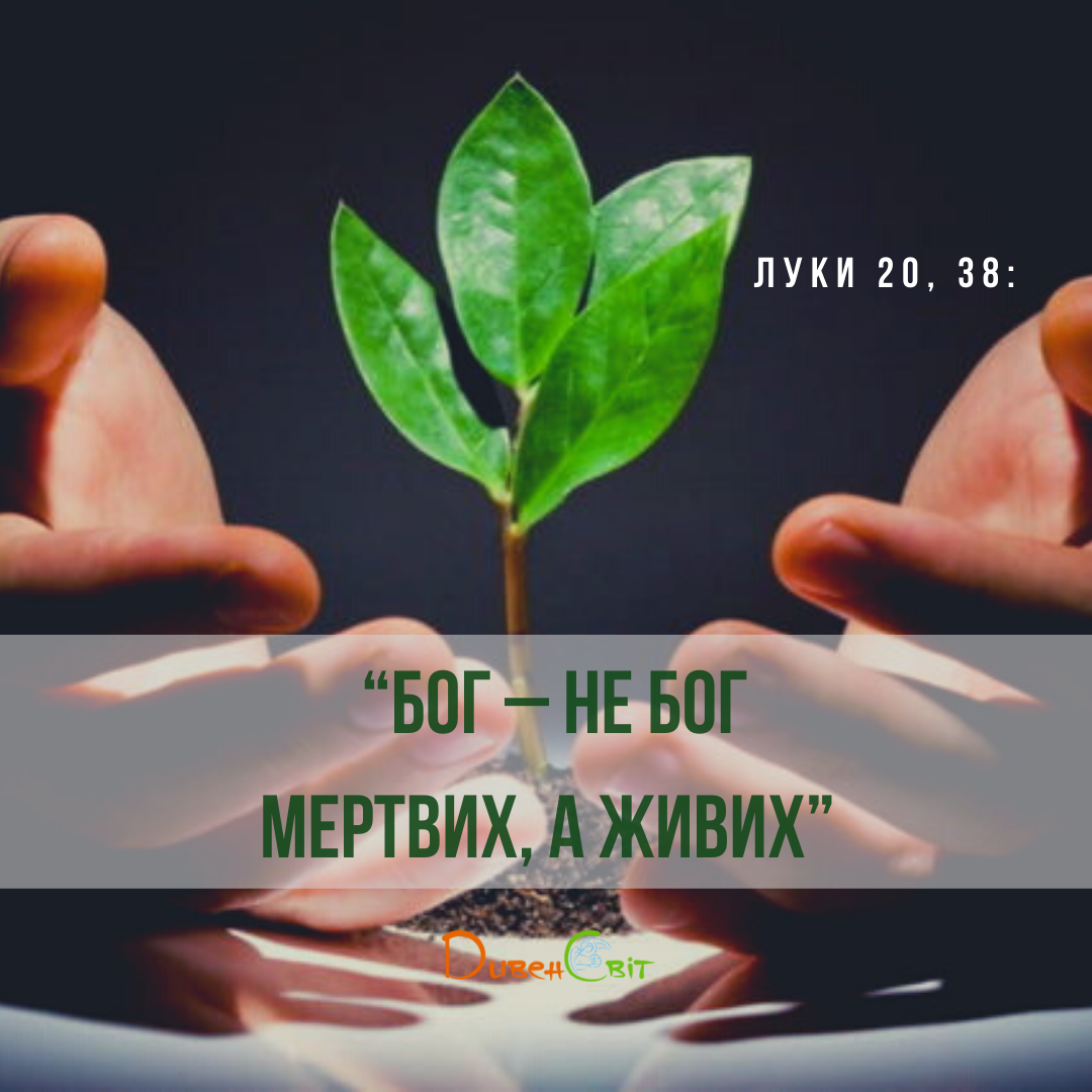 Святе Письмо з розважаннями на 26 грудня