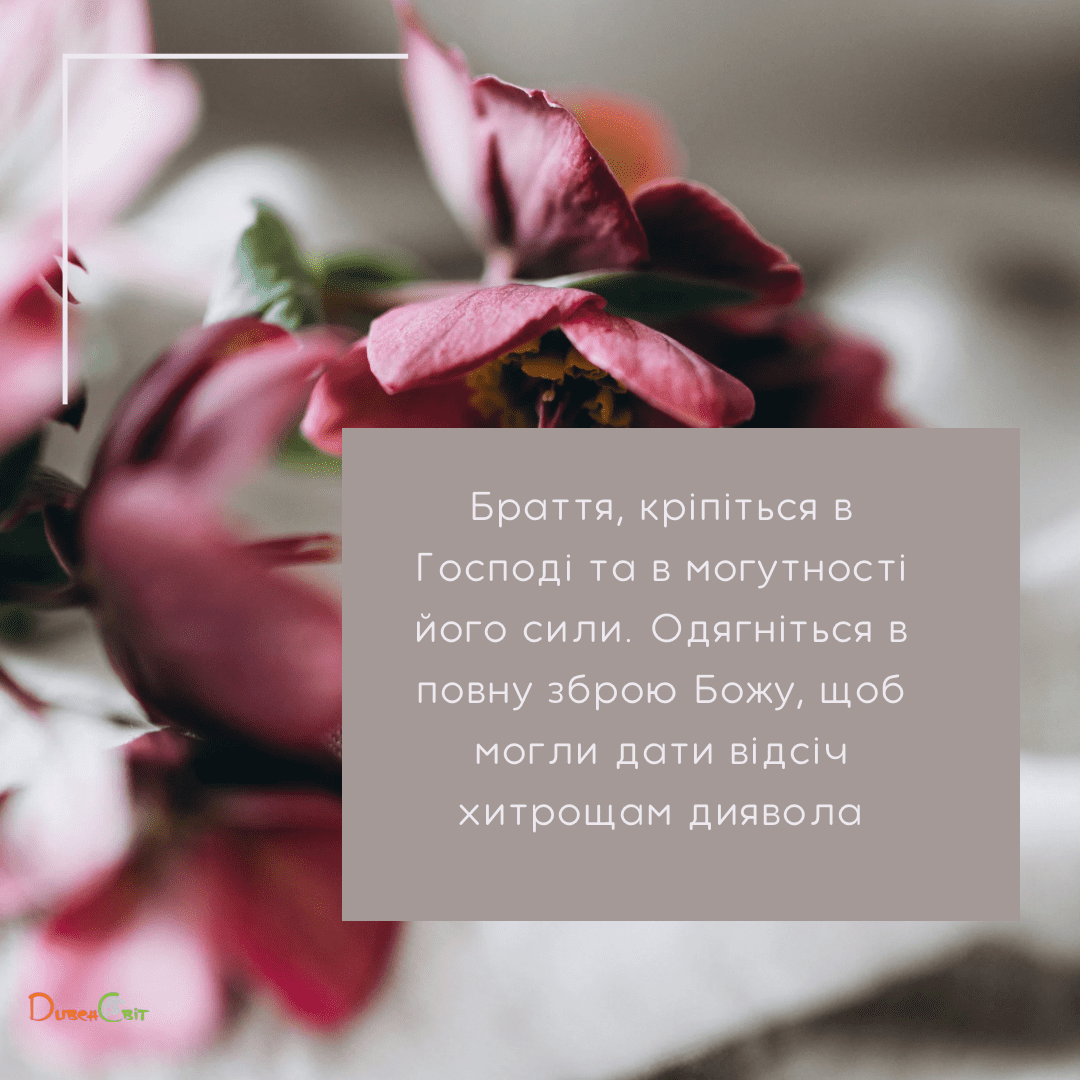 Святе Письмо з розважаннями на 21 січня