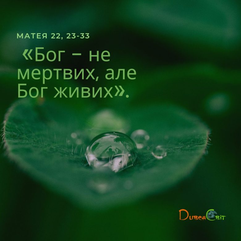 Святе Письмо з розважанням на 11 серпня