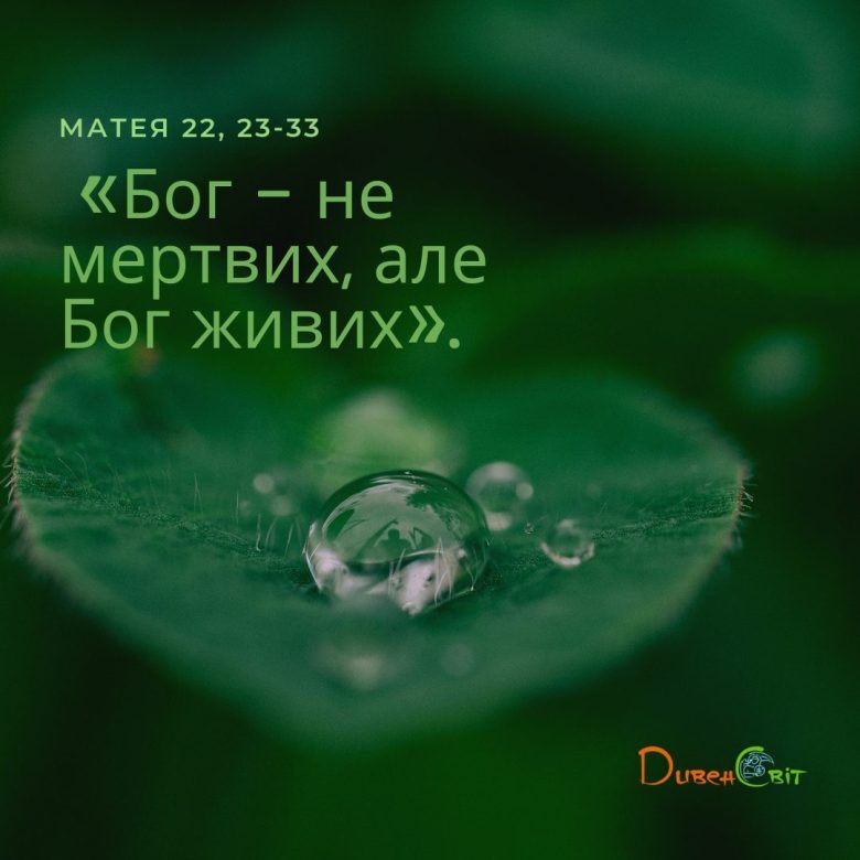 Святе Письмо з розважанням на 11 серпня