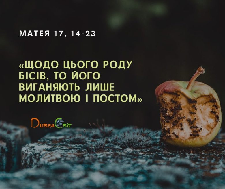 Святе Письмо з розважанням на 13 серпня