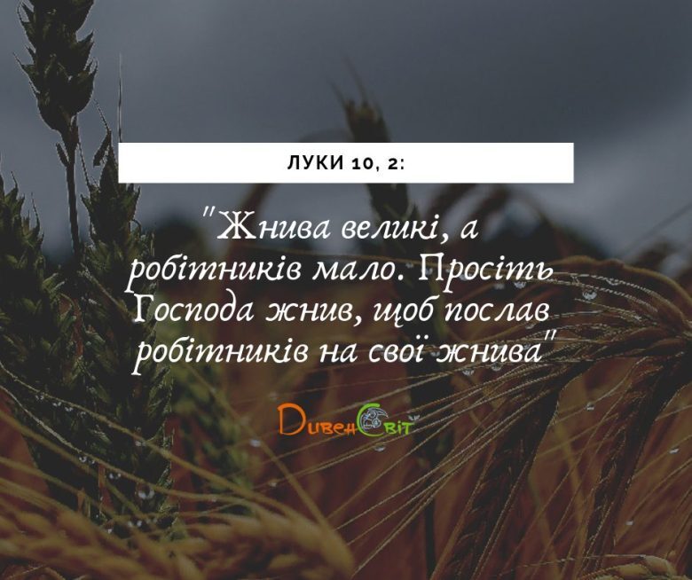 Святе Письмо з розважанням на 3 листопада