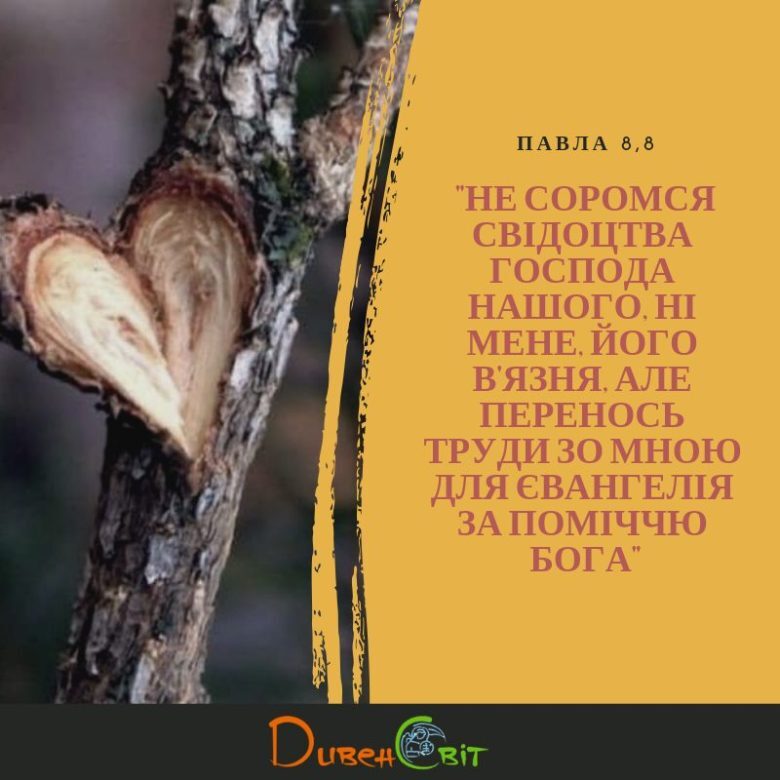 Святе Письмо з розважанням на 8 грудня