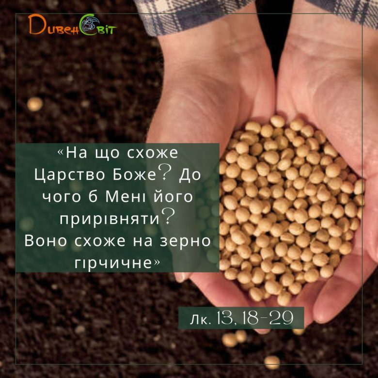 Святе Письмо з розважанням на 23 грудня