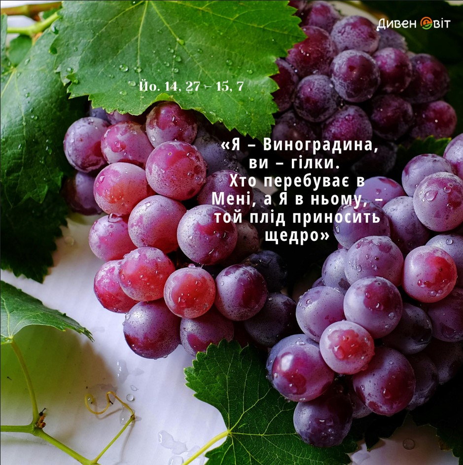 Святе Письмо з розважанням на 2 червня
