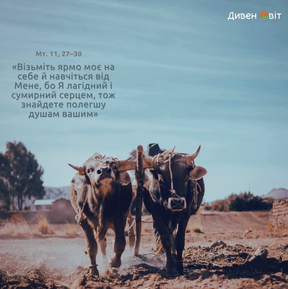 Святе Письмо з розважанням на 3 липня