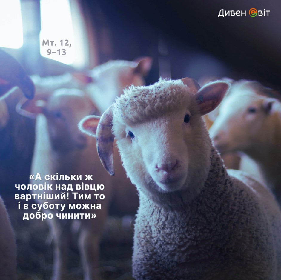 Святе Письмо з розважанням на 7 липня