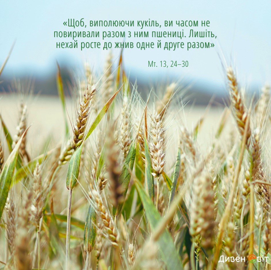 Святе Письмо з розважанням на 15 липня