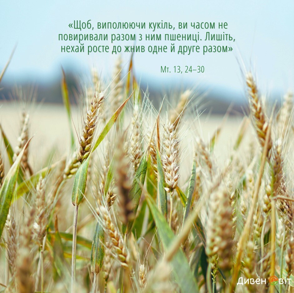 Святе Письмо з розважанням на 15 липня