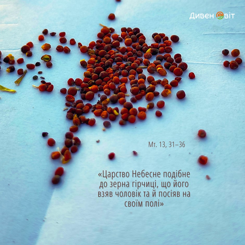 Святе Письмо з розважанням на 16 липня