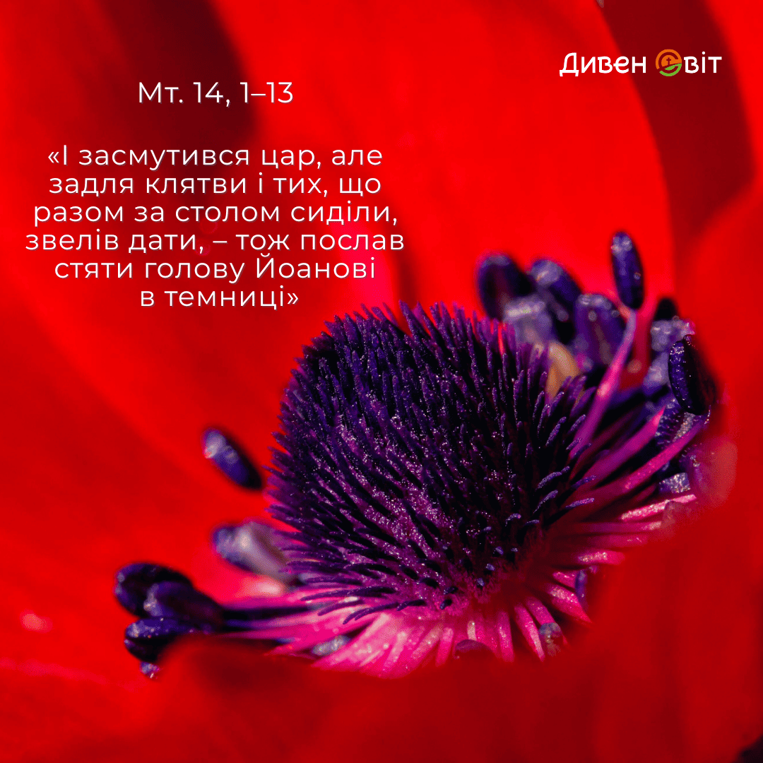 Святе Письмо з розважанням на 22 липня