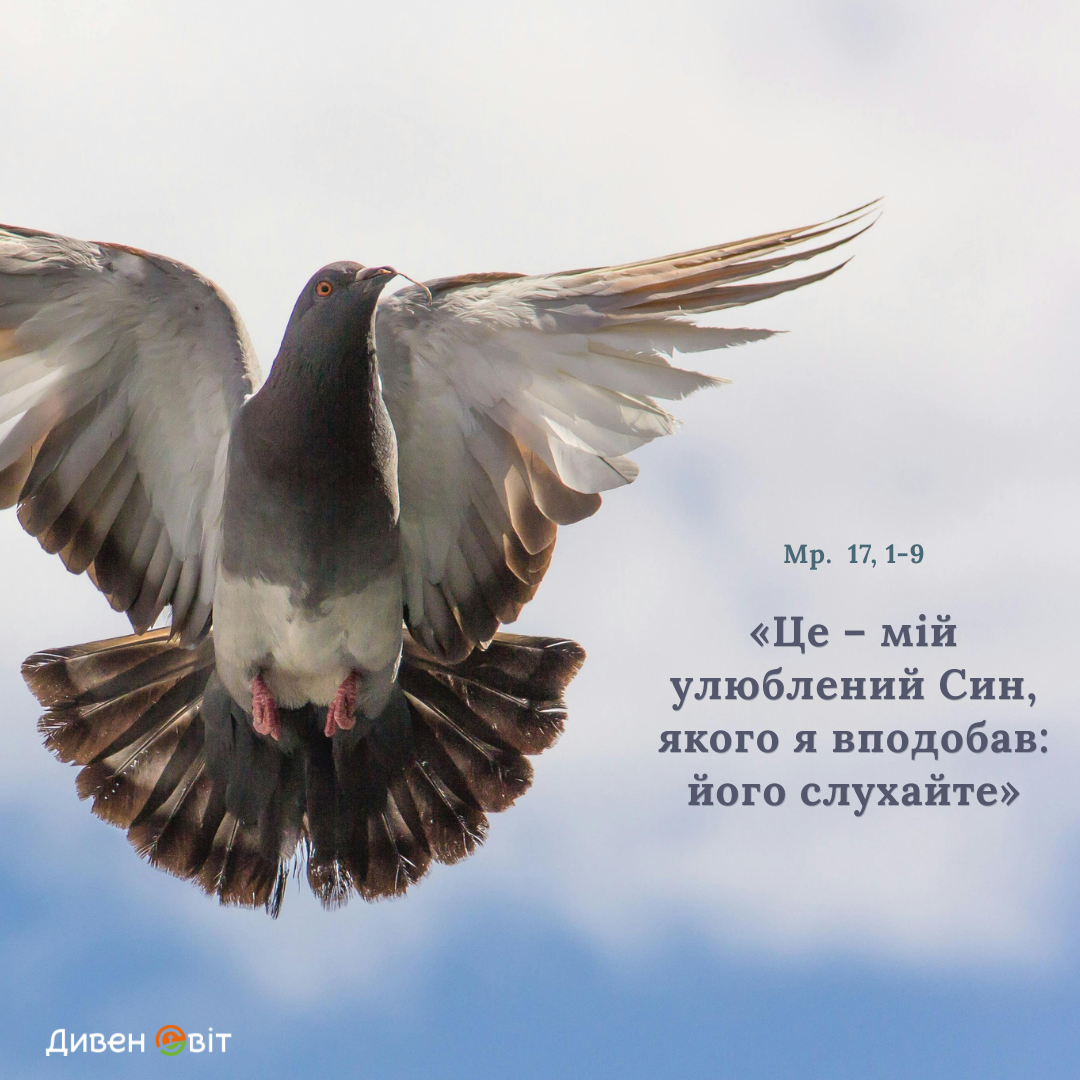 Святе Письмо з розважанням на 6 серпня