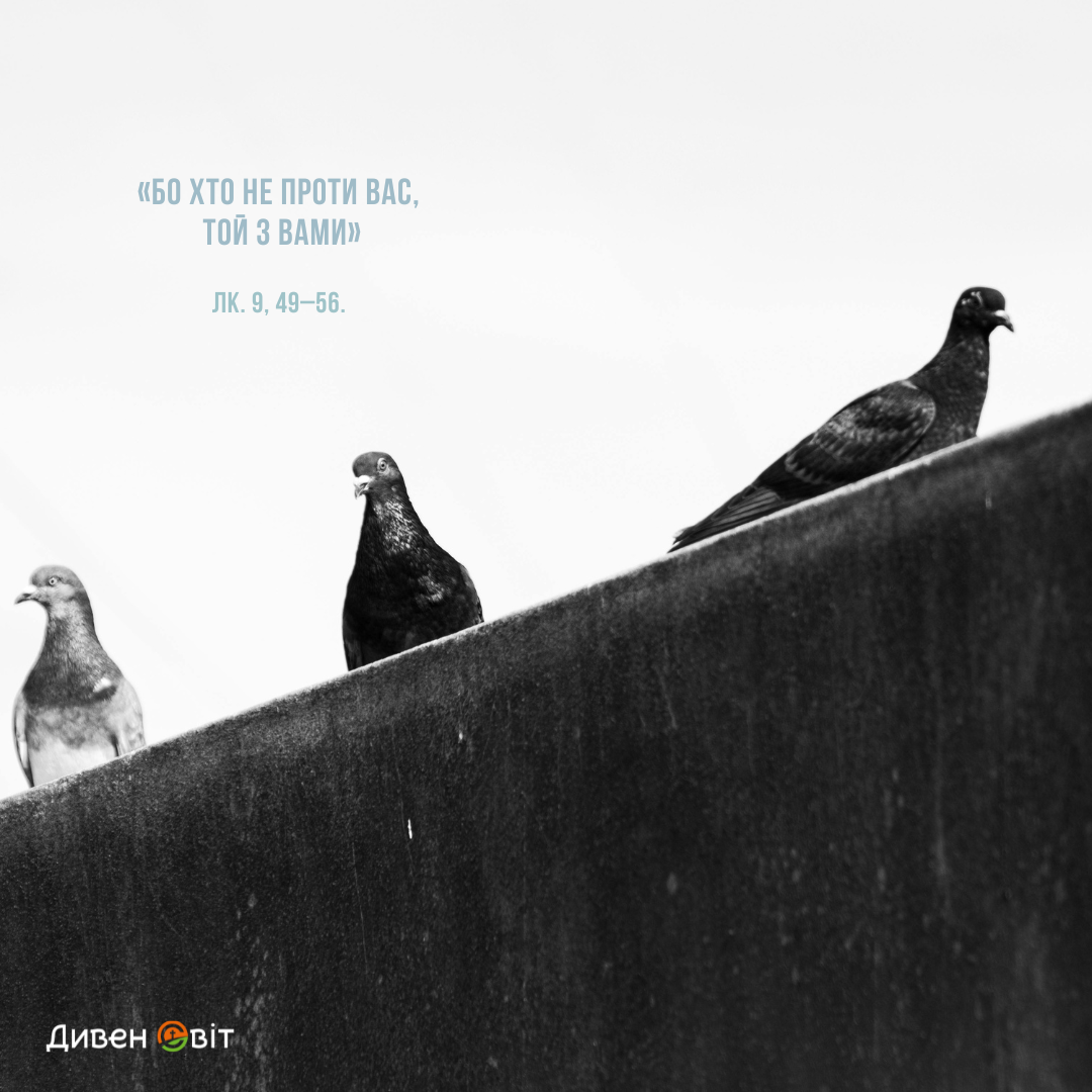 Святе Письмо з розважанням на 6 листопада