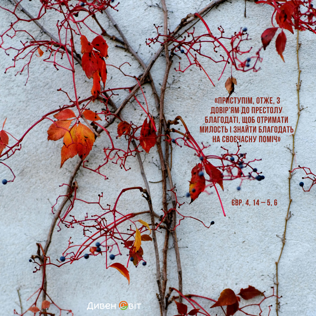 Святе Письмо з розважанням на 11 листопада