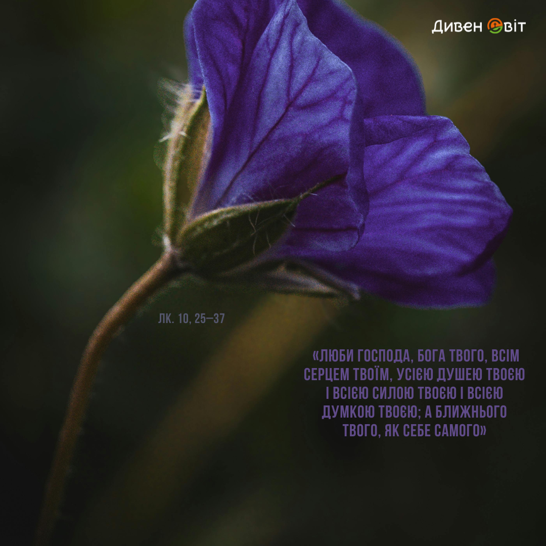 Святе Письмо з розважанням на 30 листопада