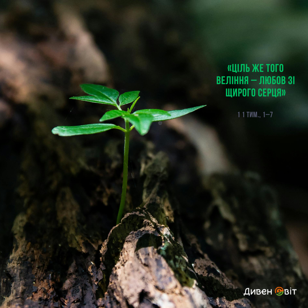 Святе Письмо з розважанням на 1 грудня