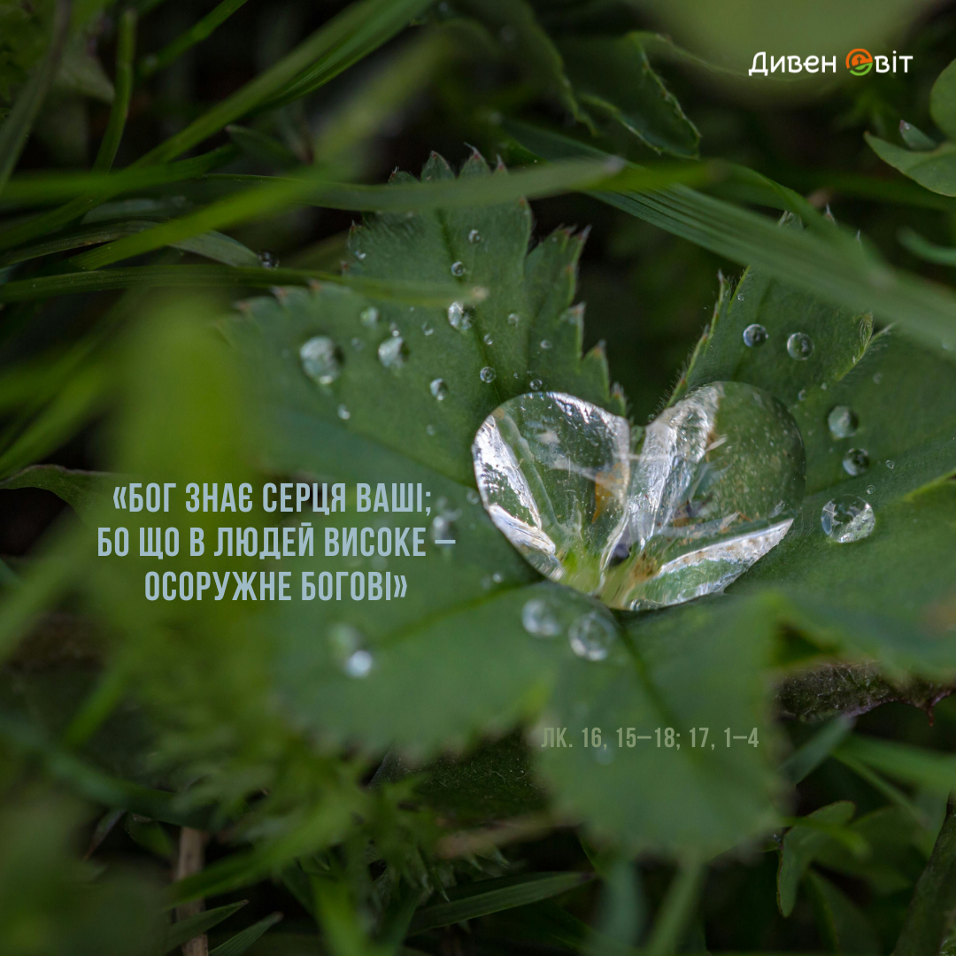 Святе Письмо з розважанням на 5 грудня