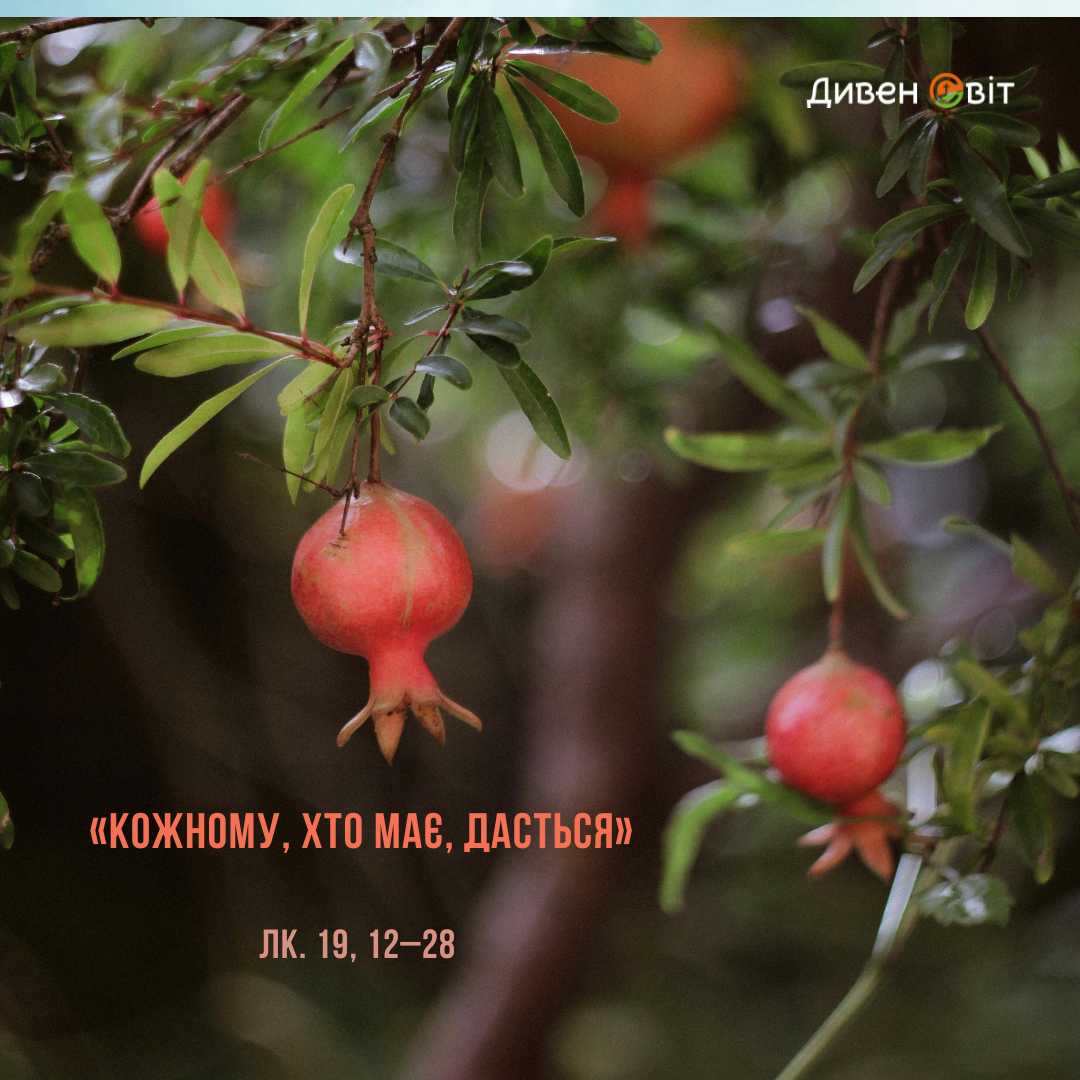 Святе Письмо з розважанням на 12 грудня