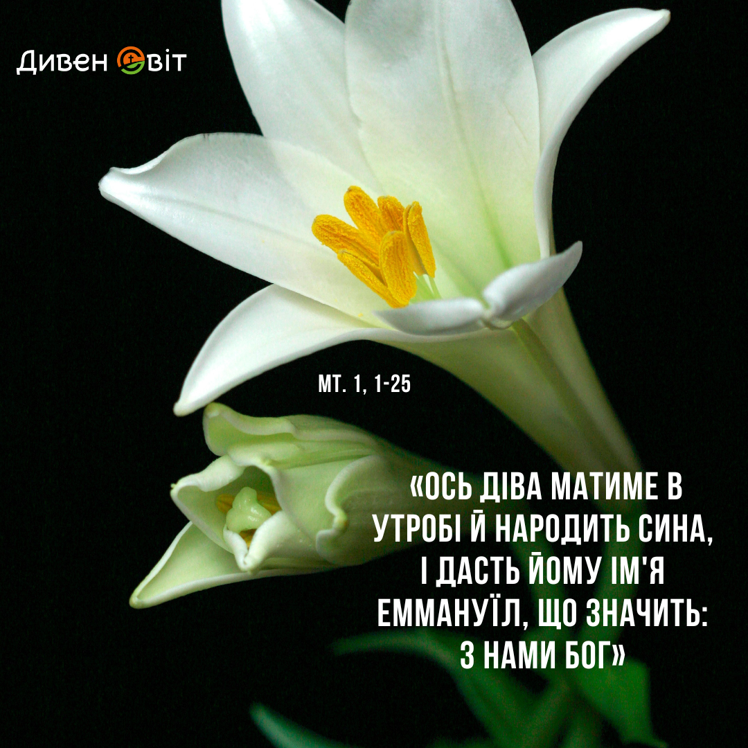 Святе Письмо з розважанням на 21 грудня