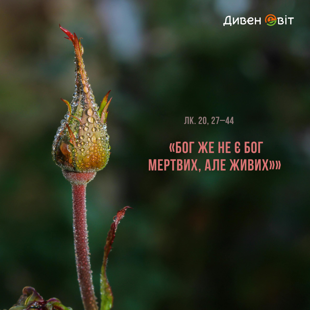  Святе Письмо з розважанням на 22 грудня 