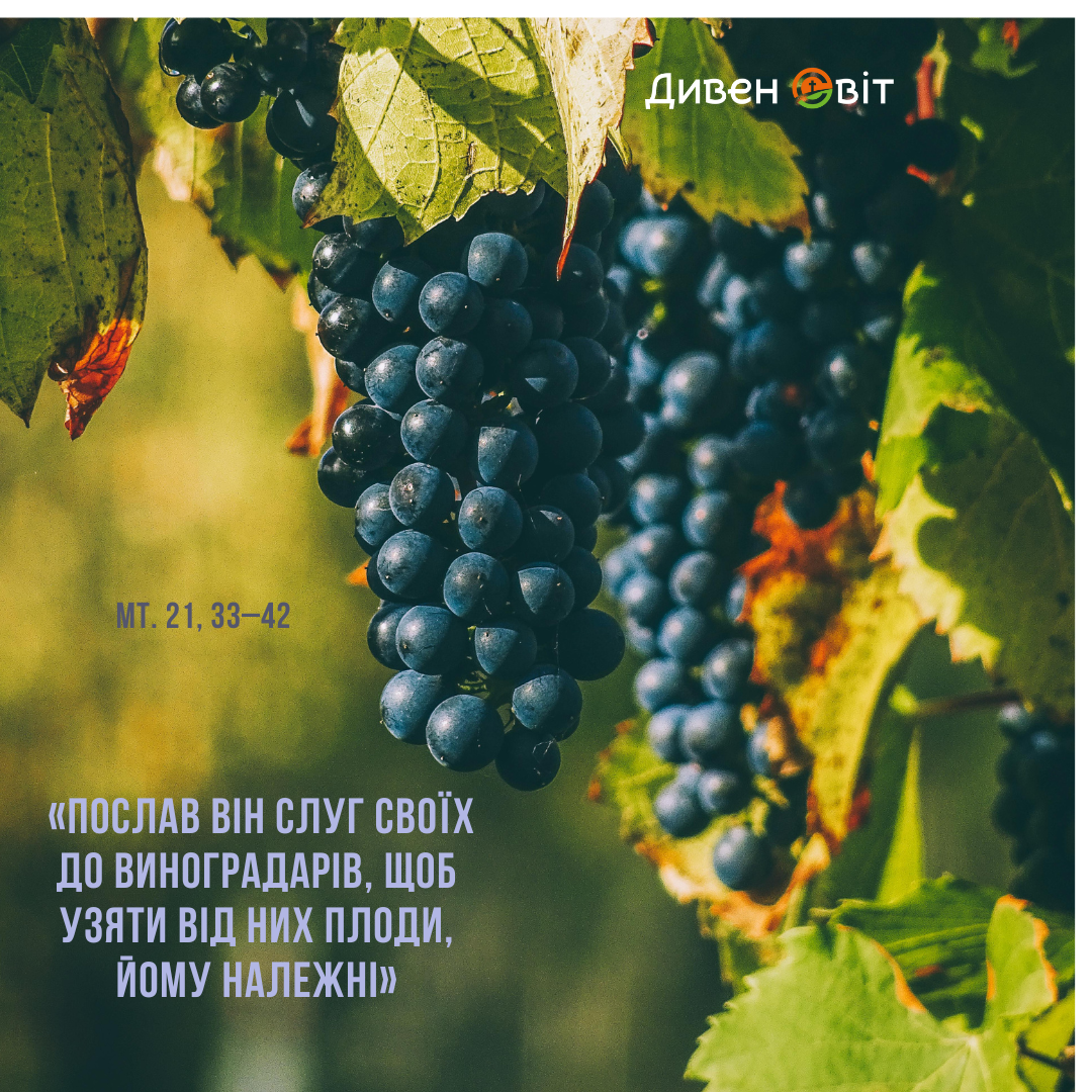 Святе Письмо з розжанням на 27 грудня