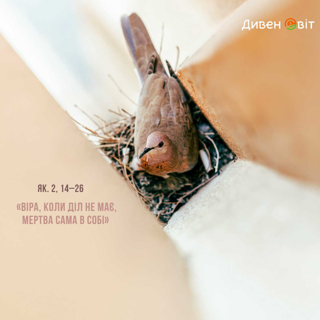 Святе Письмо з розважанням на 12 січня