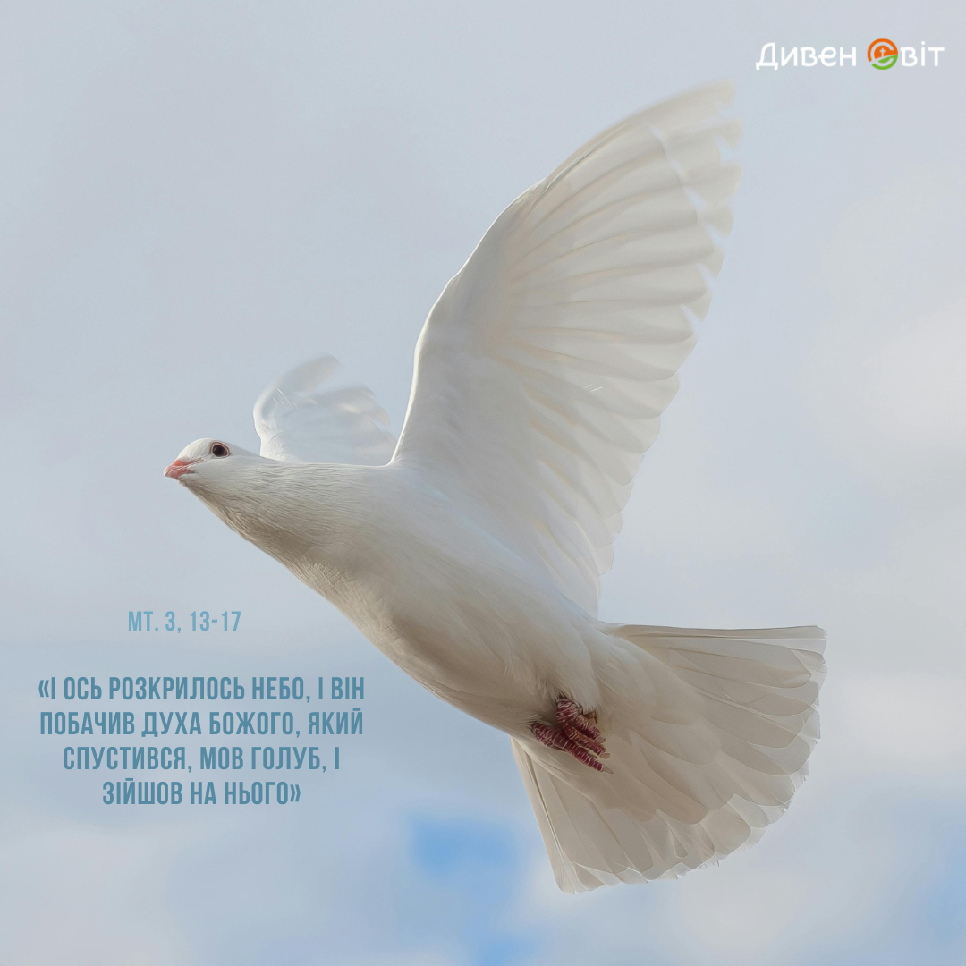  Святе Письмо з розважанням на 6 січня 