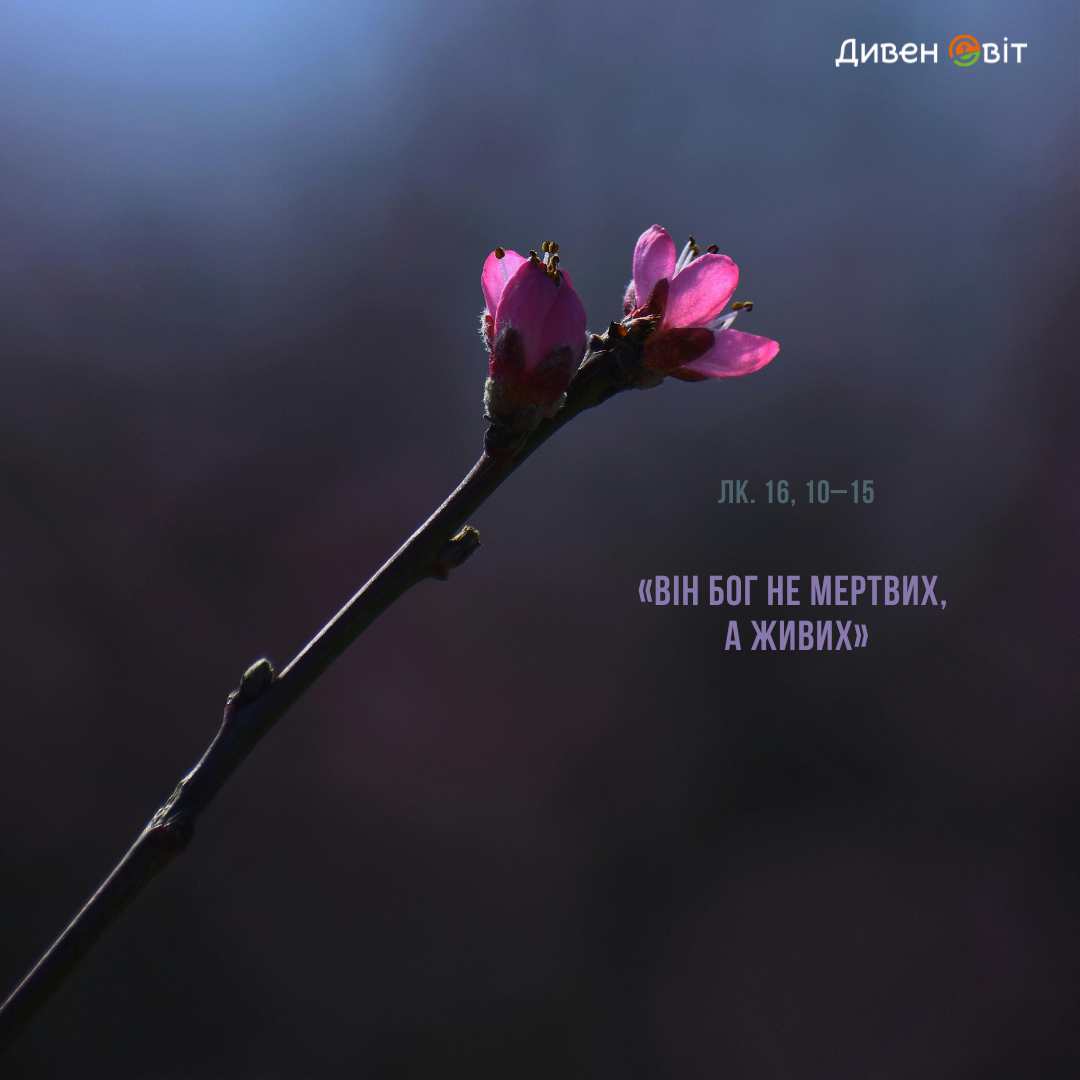 Святе Письмо з розважанням на 27 січня