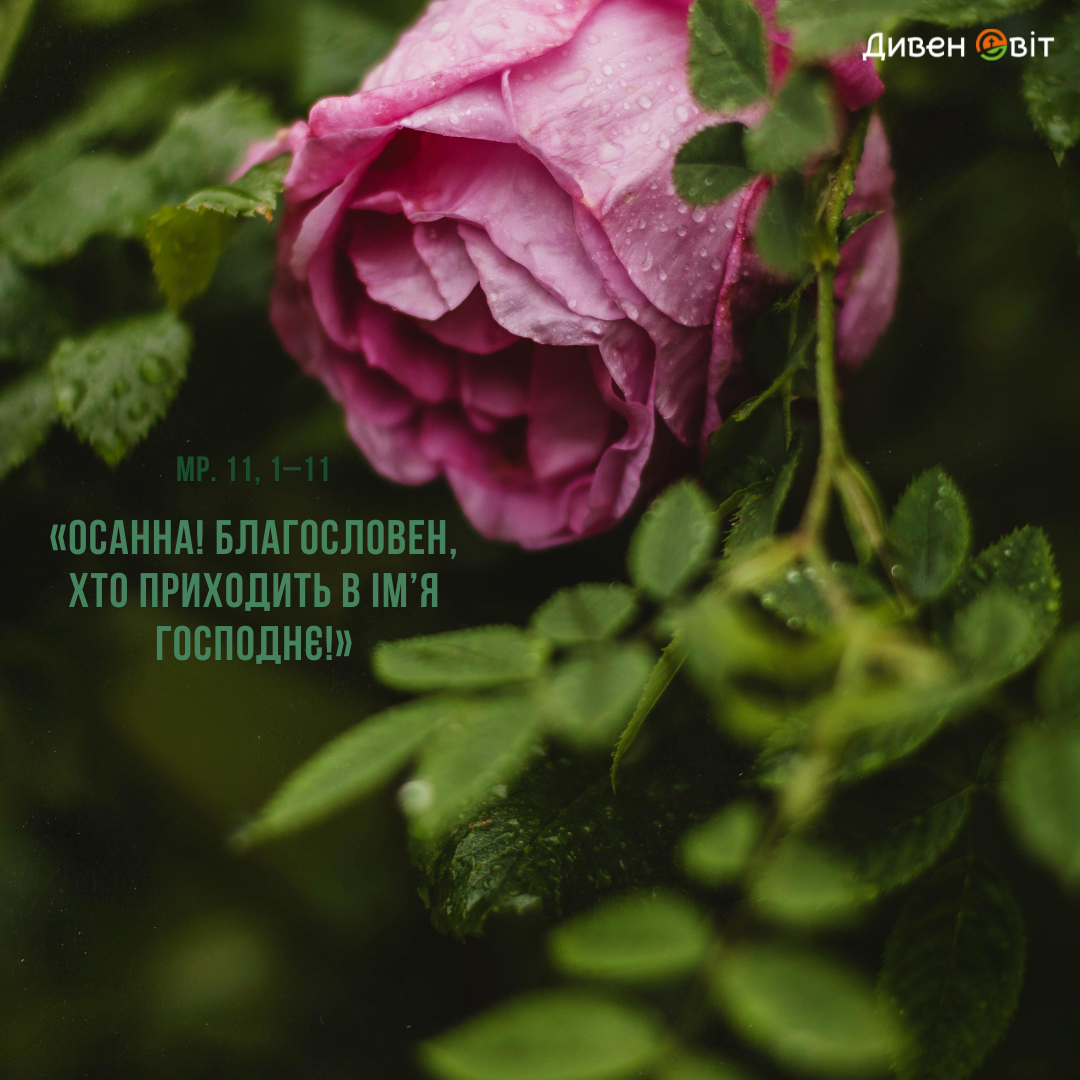 Святе Письмо з розважанням на 9 лютого