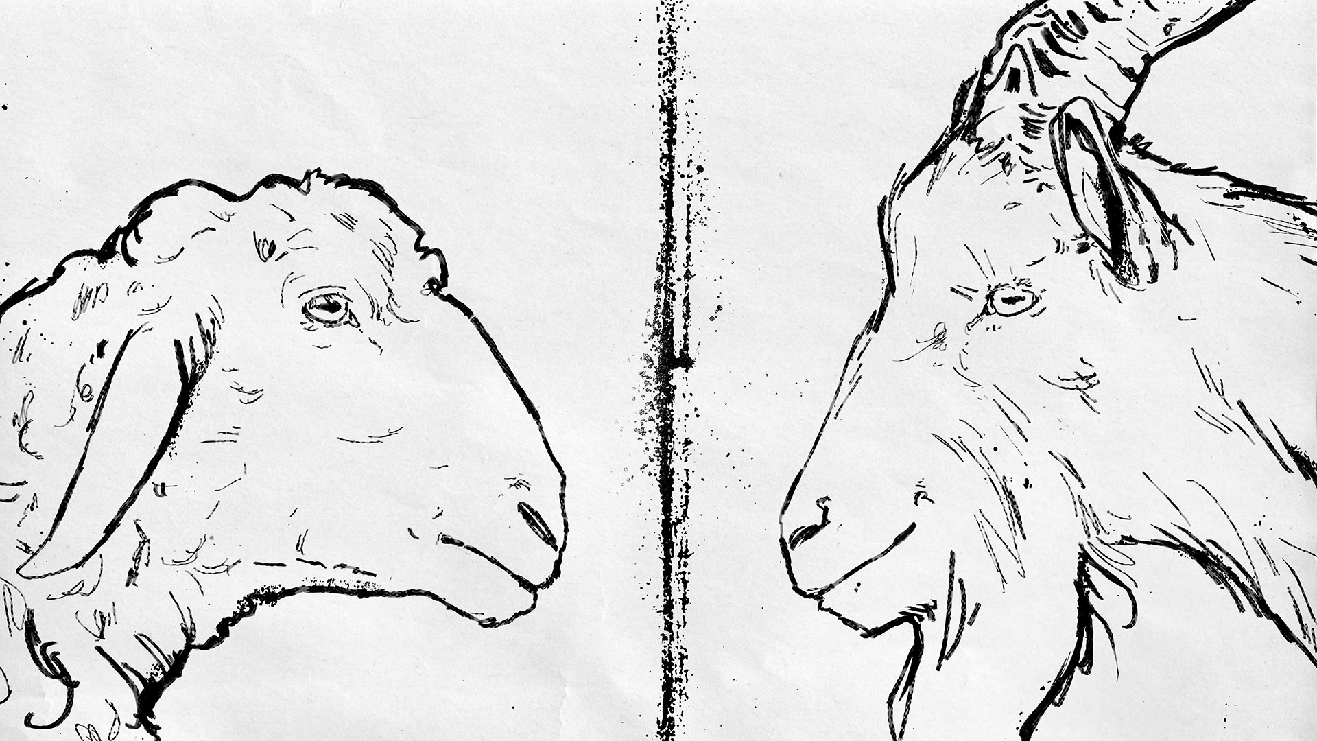 Відкрий очі і серце, не будь козлом!