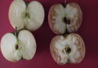 Вчителька за допомогою яблук показала, як дітей ранить цькування