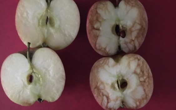 Вчителька за допомогою яблук показала, як дітей ранить цькування