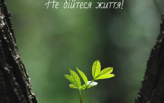 Фестивалю “Вітер на-дії” – БУТИ!