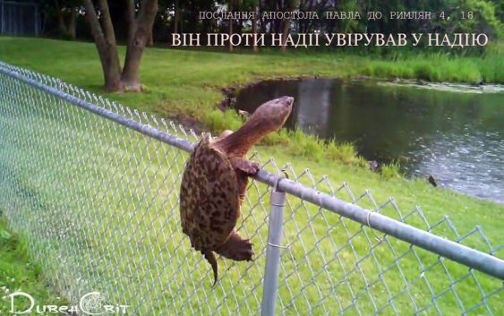 Святе Письмо з розважанням на 14 червня