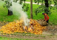 Церква закликає не спалювати листя