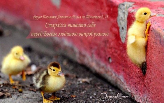 Святе Письмо з розважанням на 27 січня