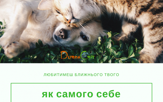 Читаємо Святе Письмо разом. Левіт 19