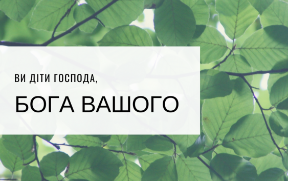 Читаємо Святе Письмо разом. Второзаконня 14